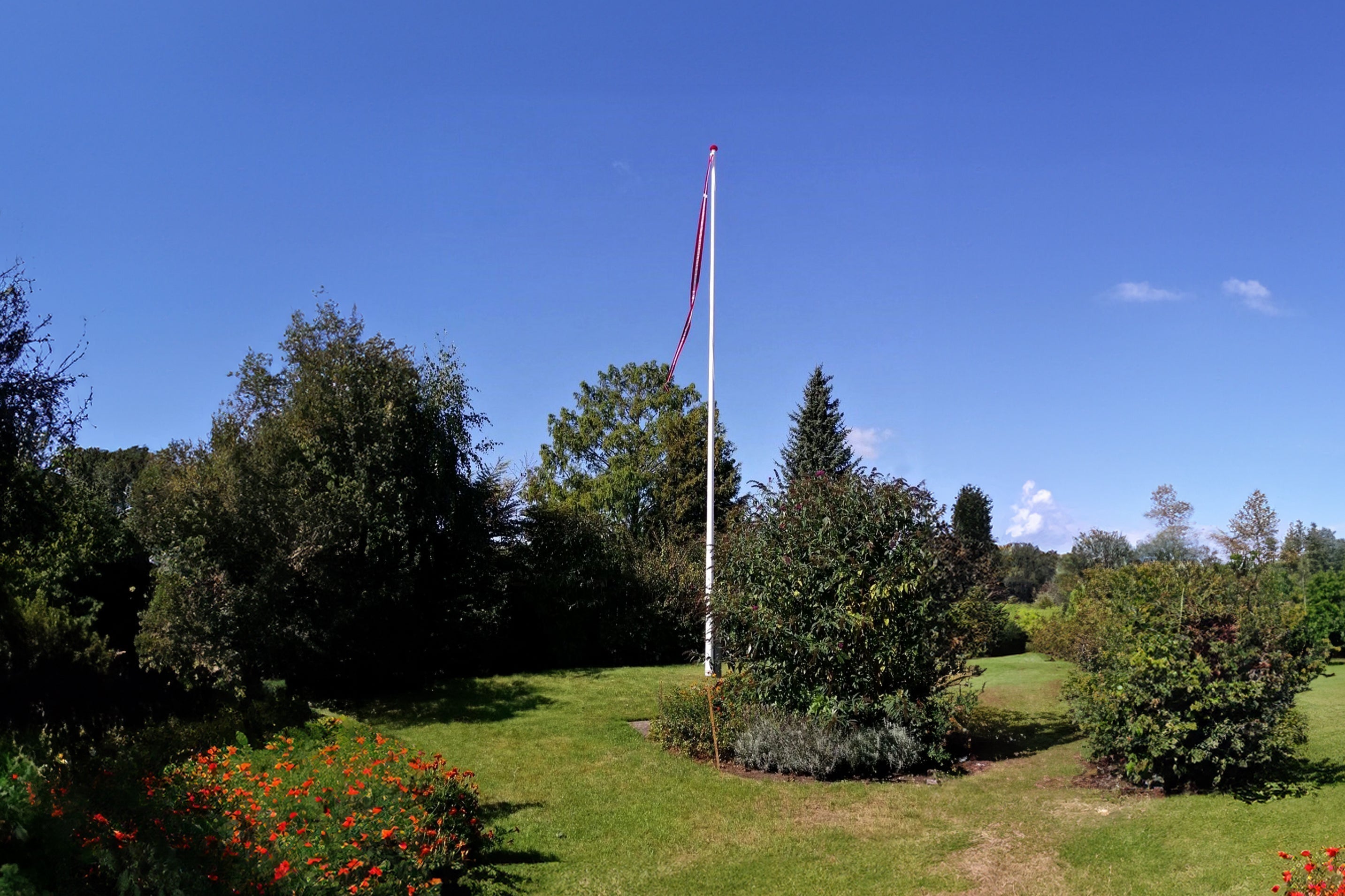Guide til om du skal være glasfiber eller træ
