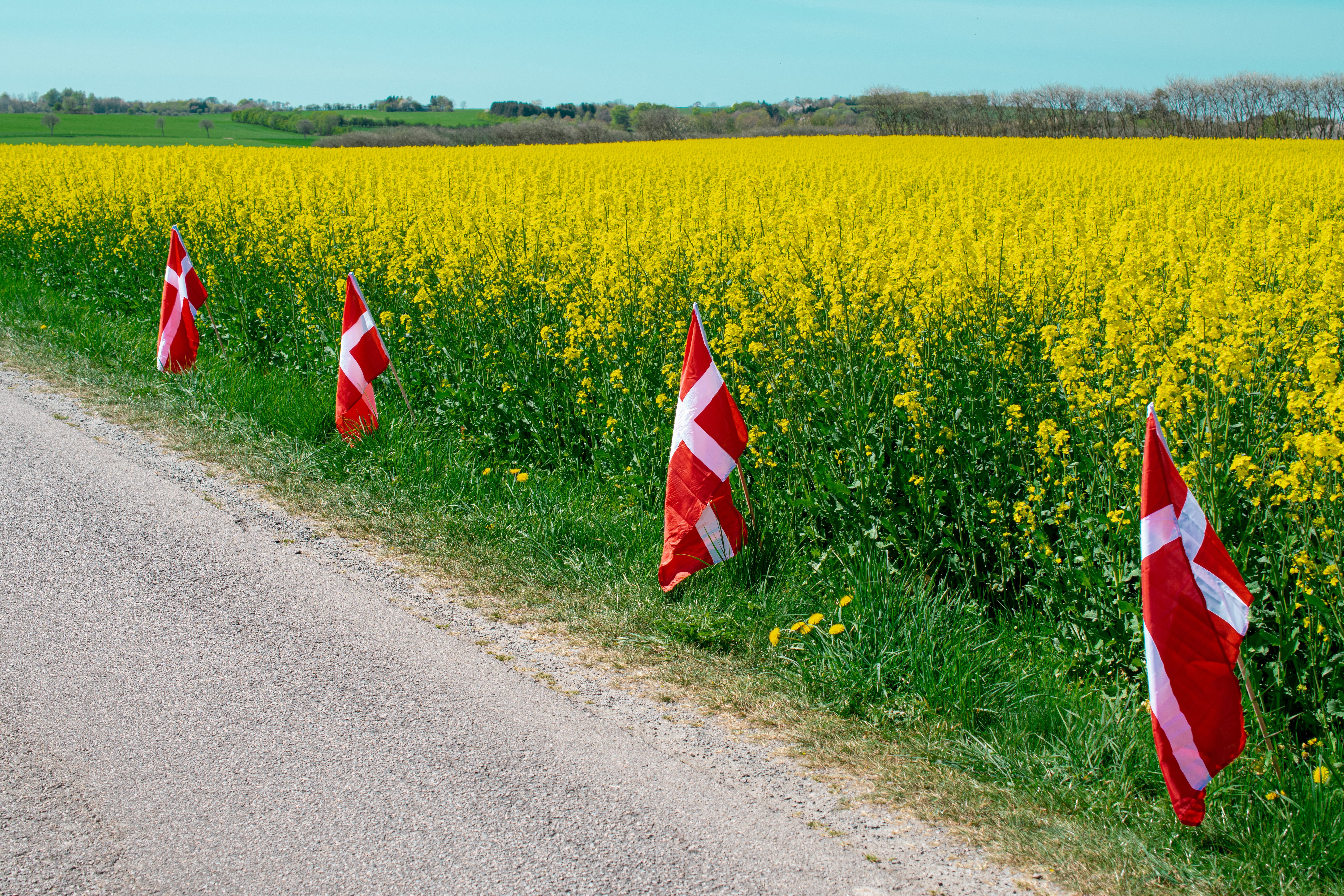 Stof flag på pind ekstra lange