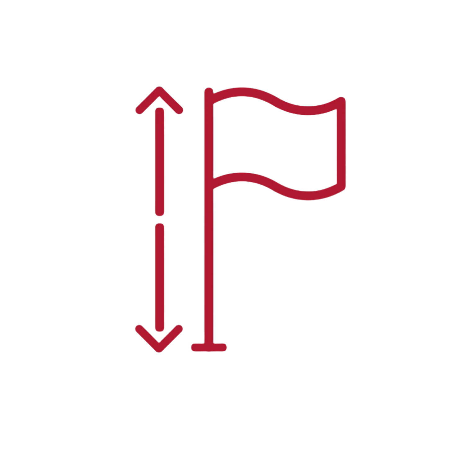 Flagstang_storrelse