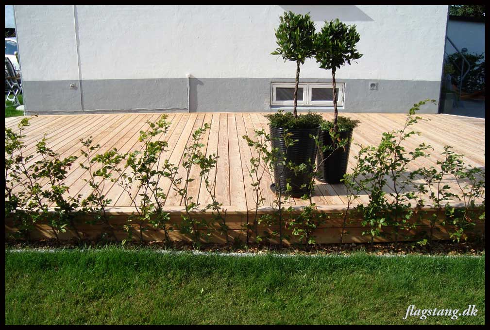 Lærke terrasse