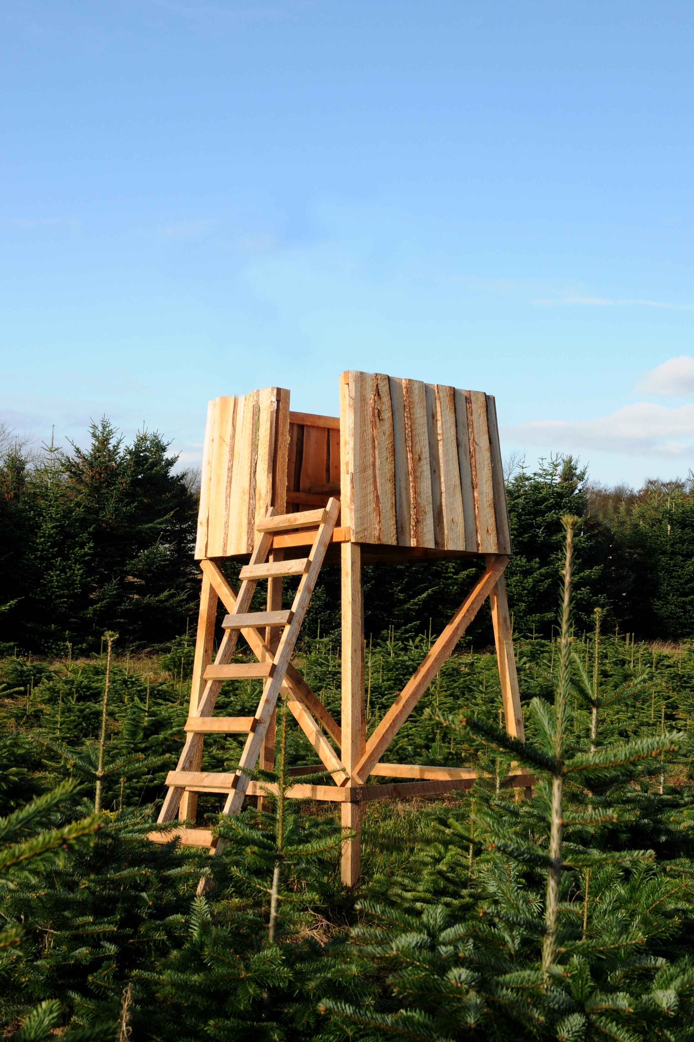 Lukket skydetårn i lærk