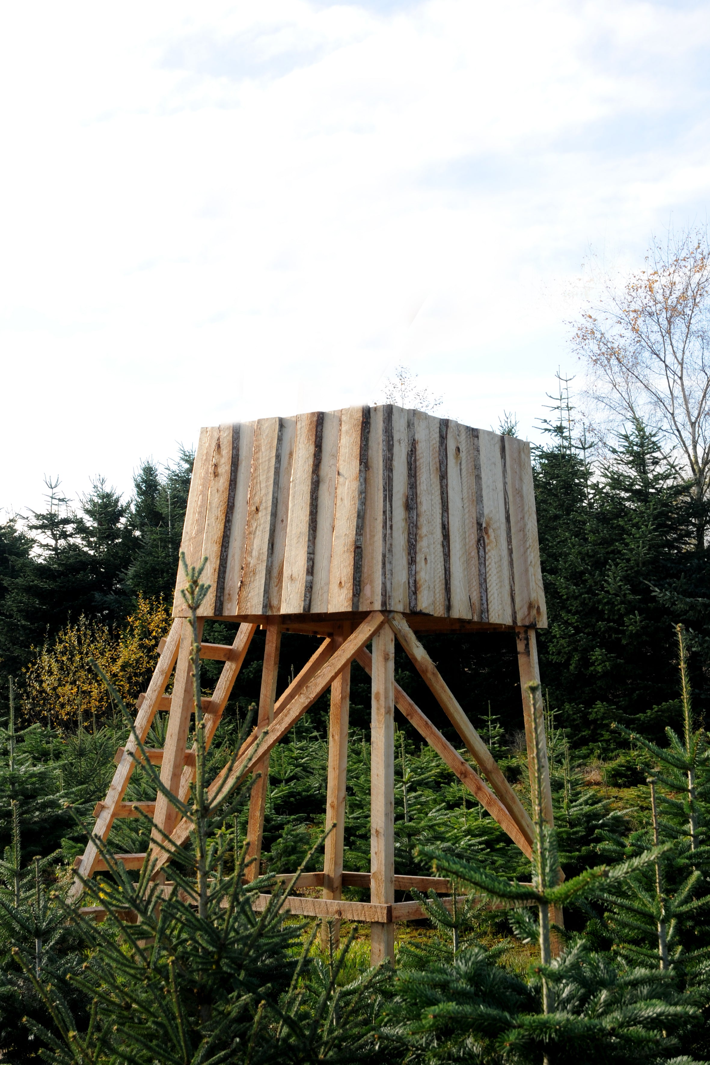 Lærketræs skydetårn